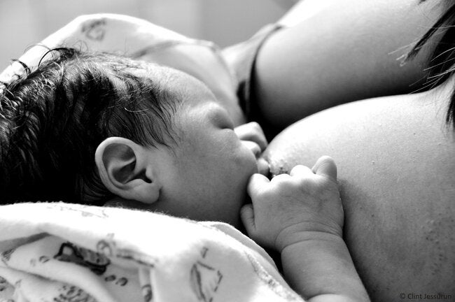 asesora de lactancia materna zamora
