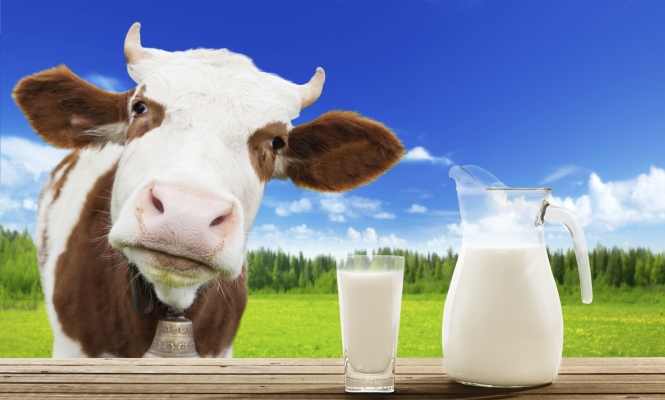 BEBÉ CON ALERGIA A LAS PROTEÍNAS DE LA LECHE DE VACA